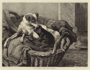 La enfermera y su paciente de Samuel Edmund Waller